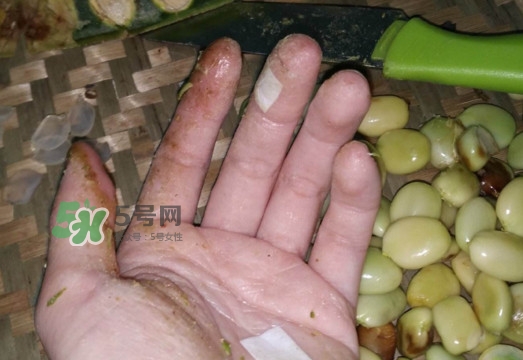 皂角米是怎么剝出來(lái)的？皂角米是酸性還是堿性