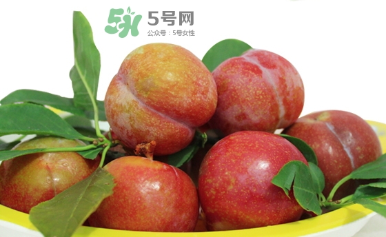 芙蓉李多少錢一斤？芙蓉李價格
