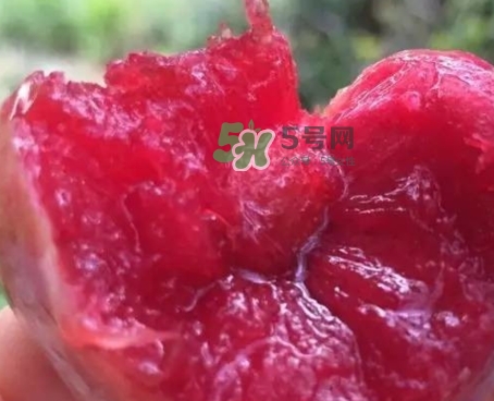 芙蓉李甜嗎？芙蓉李好吃嗎？