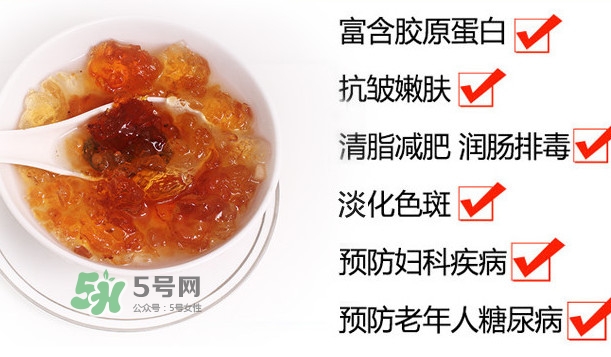 桃膠是桃樹上的膠嗎？桃膠是什么味道