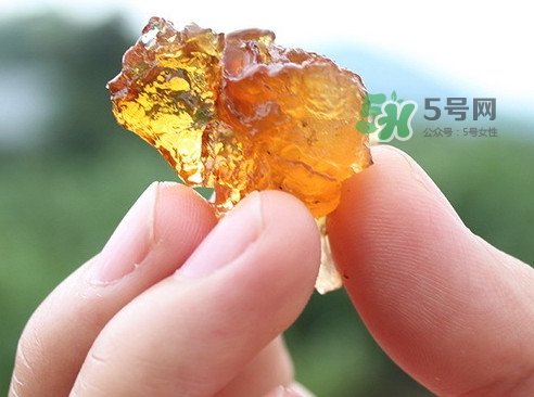 桃膠有假的嗎？如何分辨桃膠真假