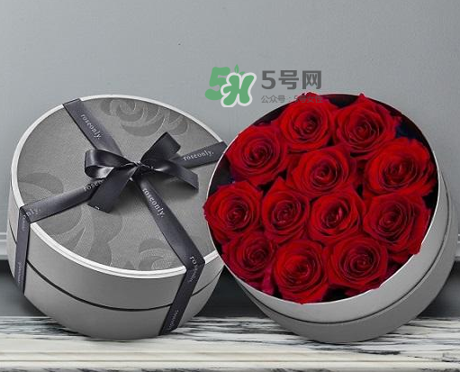 roseonly怎么讀？roseonly怎么讀在線讀？