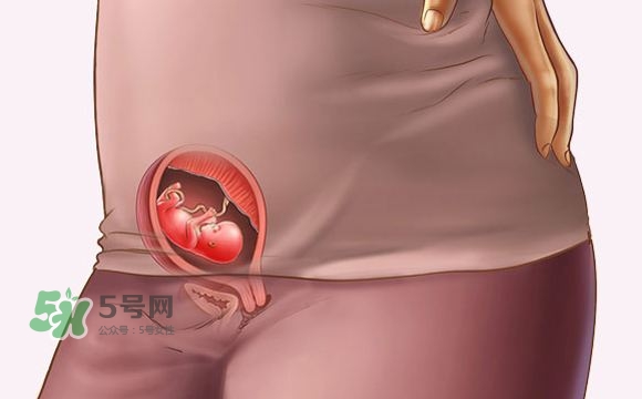 孕期尿頻什么時候開始？孕期尿頻特別嚴重