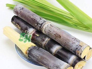 甘蔗什么時(shí)候成熟？甘蔗什么時(shí)候上市