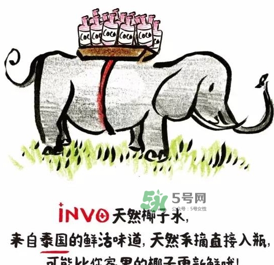 invo椰子水多少錢？invo椰子水好喝嗎？