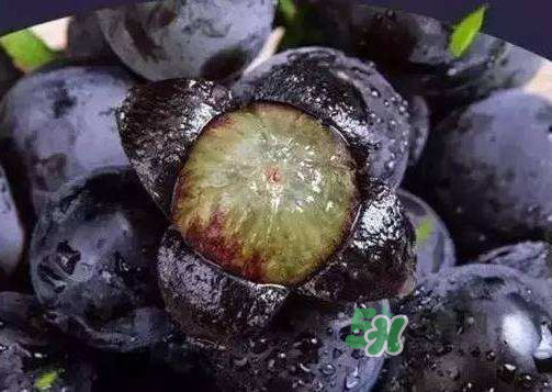 戶太八號(hào)多少錢一斤？戶太八號(hào)為什么在全國(guó)很有名？