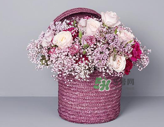 野獸派和roseonly哪個好？野獸派和roseonly區(qū)別