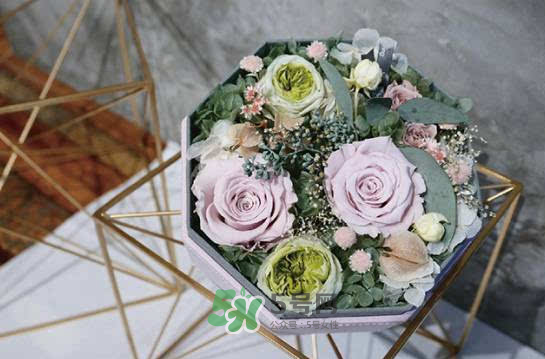野獸派永生花會死嗎？野獸派永生花是什么？