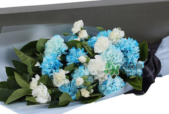 joyflower是哪國品牌？joyflower怎么樣？