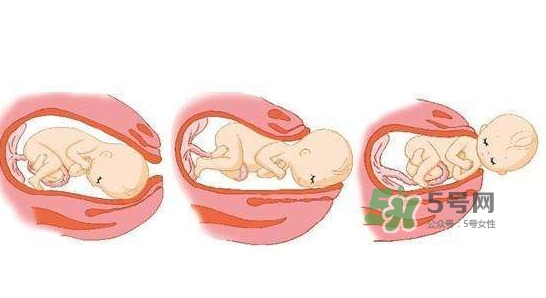 胎兒什么時候入盆？胎兒入盆后胎動會減少嗎？
