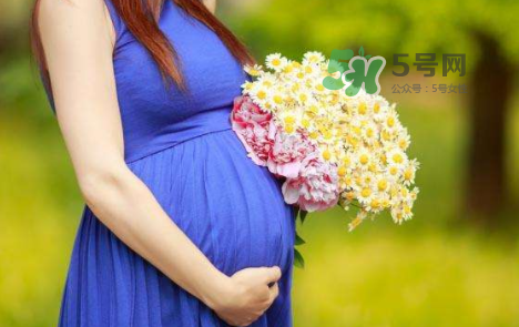 孕婦可以拔牙嗎？孕婦可以拔智齒嗎？