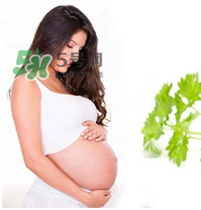 孕婦可以拔牙嗎？孕婦可以拔智齒嗎？