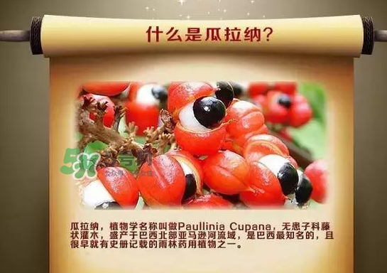 黑卡飲料多少錢一瓶？黑卡6小時價格表