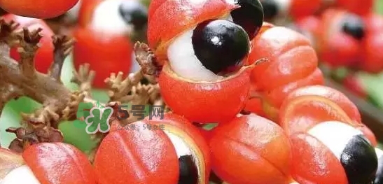 黑卡飲料多少錢一瓶？黑卡6小時價格表