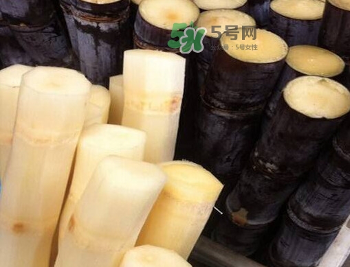 甘蔗是哪里的特產？甘蔗是什么地方的特產