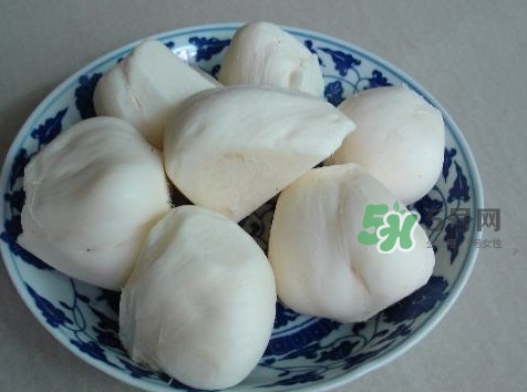 涼薯是什么東西？涼薯是地瓜嗎？