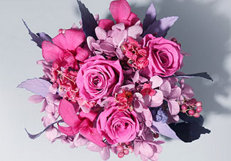joyflower是哪國品牌？joyflower怎么樣？