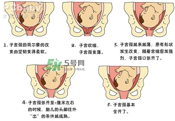 生孩子的過程是怎樣的？生孩子的真實過程