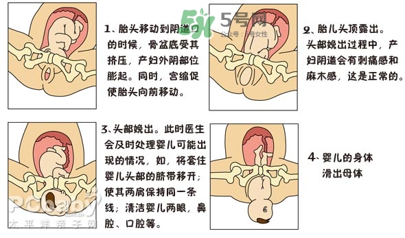 生孩子的過程是怎樣的？生孩子的真實過程