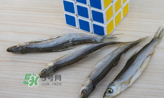 刁子魚是發(fā)物嗎？刁子魚是不是發(fā)物
