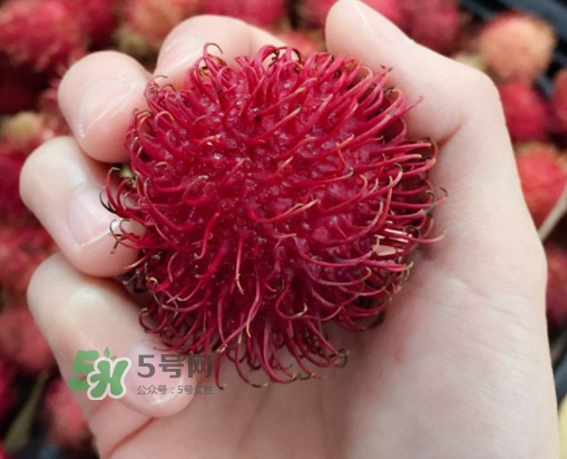 紅毛丹是什么水果？紅毛丹是熱性水果嗎？