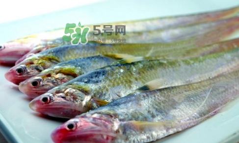刁子魚(yú)是秋刀魚(yú)嗎？刁子魚(yú)是海魚(yú)嗎？
