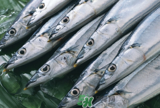 秋刀魚多少錢一斤2017？秋刀魚什么季節(jié)吃最好