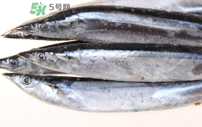 秋刀魚是海魚嗎？秋刀魚是淡水魚還是海魚