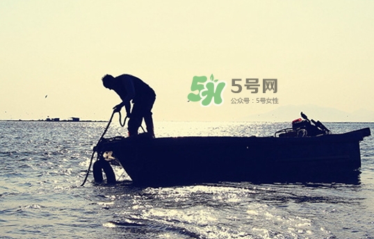 剝皮魚(yú)孕婦可以吃嗎？懷孕可以吃剝皮魚(yú)嗎？
