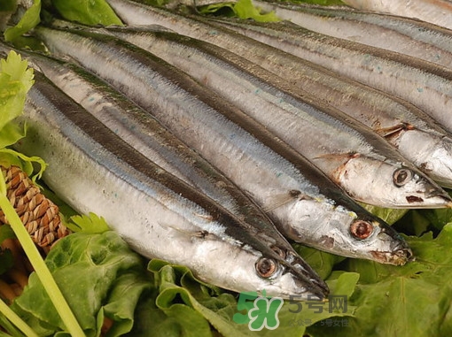 秋刀魚為什么那么便宜？秋刀魚為什么叫秋刀魚