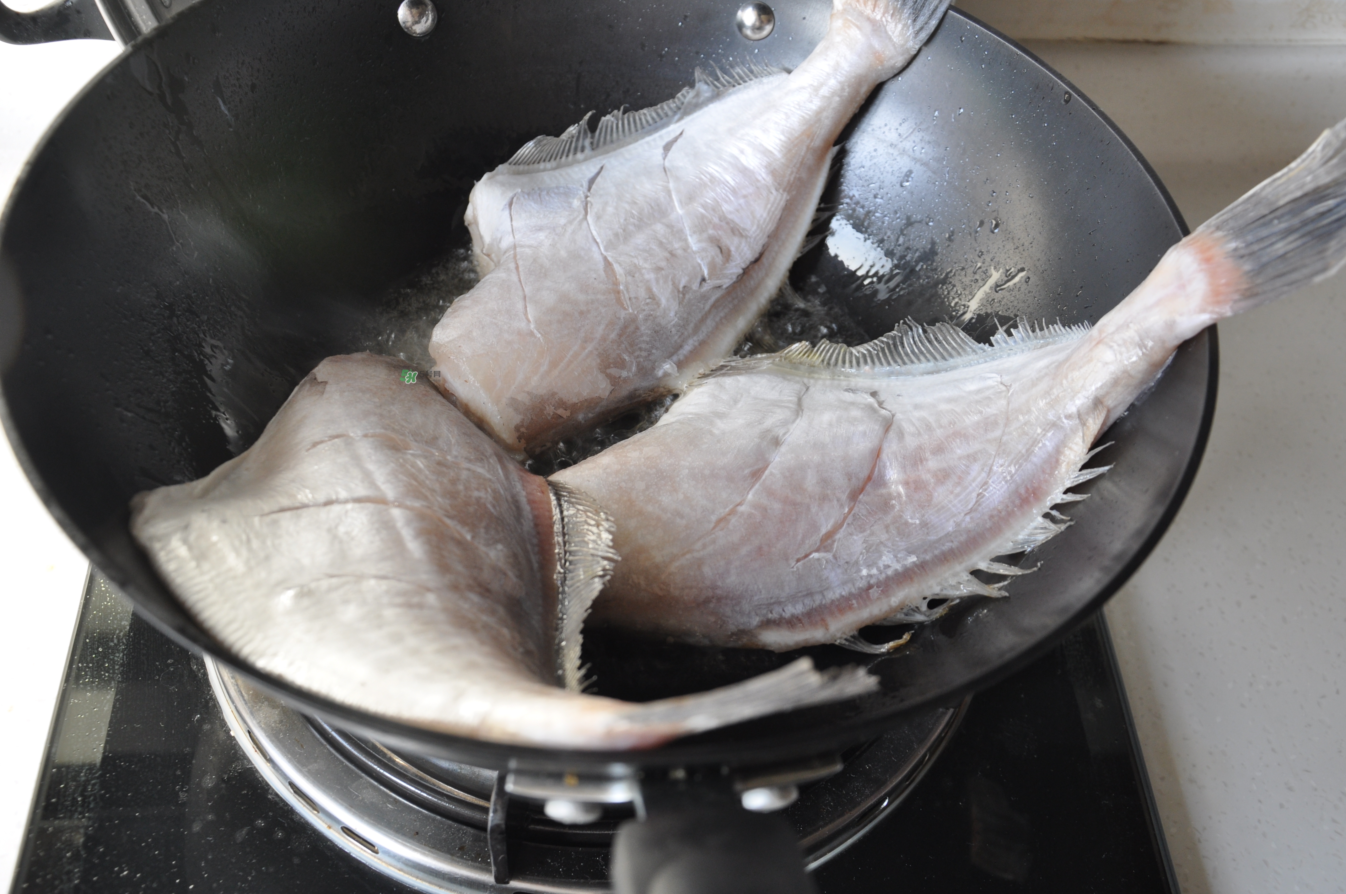 剝皮魚(yú)孕婦可以吃嗎？懷孕可以吃剝皮魚(yú)嗎？