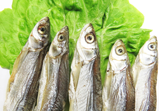 刁子魚是秋刀魚嗎？刁子魚是海魚嗎？