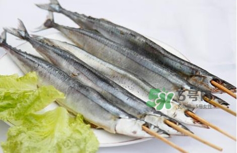 秋刀魚是海魚嗎？秋刀魚是淡水魚還是海魚