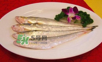 秋刀魚是刀魚嗎？秋刀魚和刀魚的區(qū)別