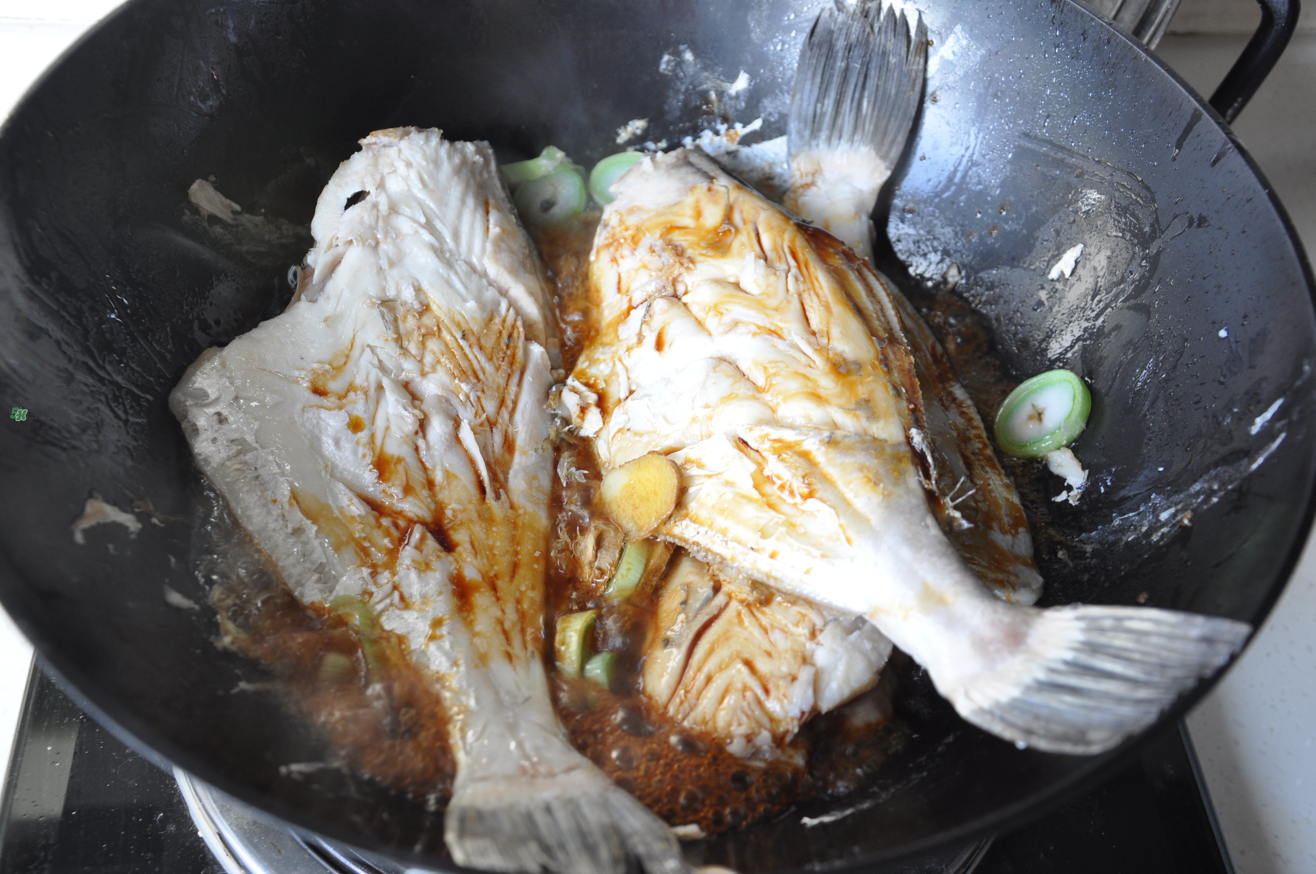剝皮魚(yú)孕婦可以吃嗎？懷孕可以吃剝皮魚(yú)嗎？