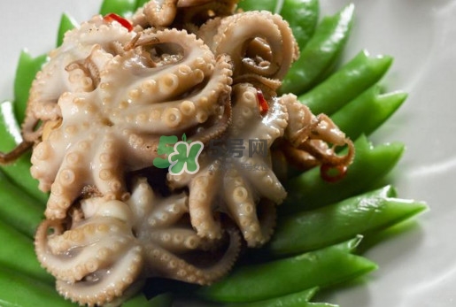 八爪魚的頭能吃嗎？八爪魚的頭里面是什么