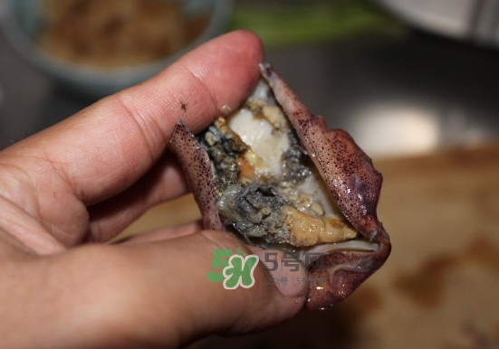 筆管魚怎么清洗？筆管魚怎么處理