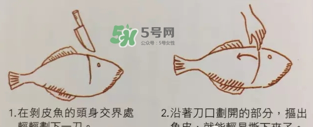 剝皮魚為什么要?jiǎng)兤ぃ縿兤~的皮有毒嗎？