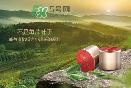 小罐茶是什么茶？小罐茶是哪八種茶？