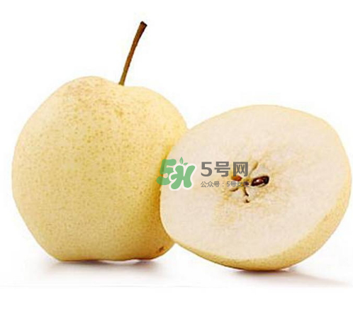 貢梨是雪梨嗎？貢梨和雪梨的區(qū)別