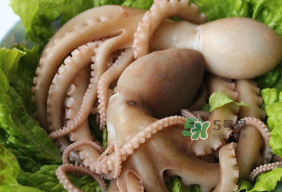 八爪魚的頭能吃嗎？八爪魚的頭里面是什么