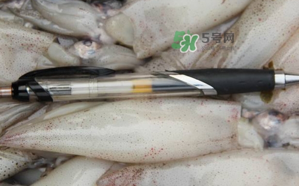 筆管魚(yú)是什么魚(yú)？筆管魚(yú)怎么吃