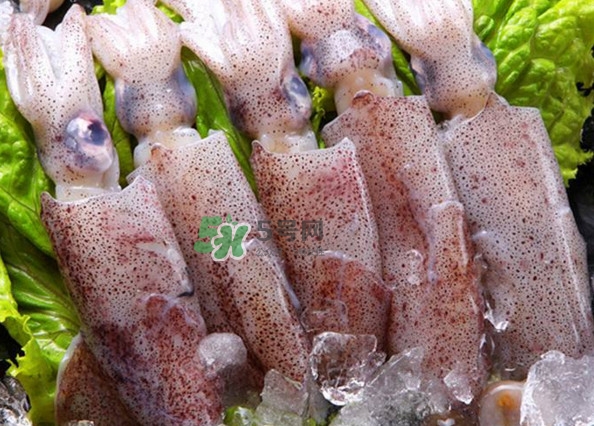 筆管魚怎么清洗？筆管魚怎么處理