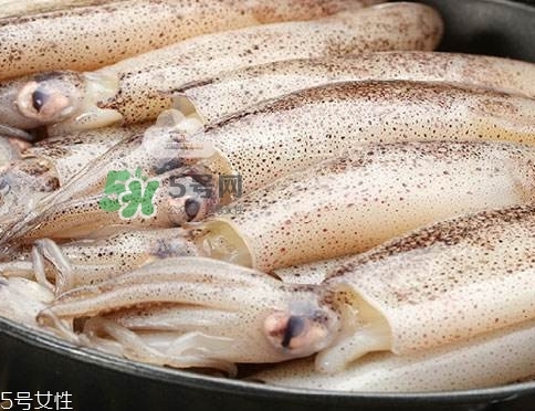 海兔子是什么？海兔子是墨魚嗎