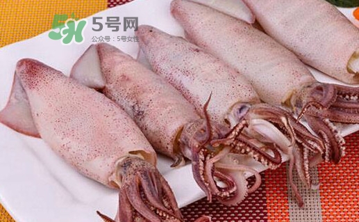 海兔子是小魷魚嗎？海兔子和魷魚的區(qū)別