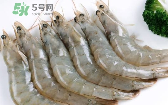 厄瓜多爾蝦是海蝦嗎？厄瓜多爾蝦好吃嗎？