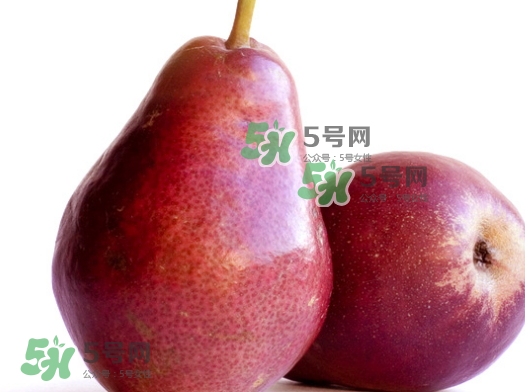 啤梨是放軟了吃嗎？啤梨的功效與作用