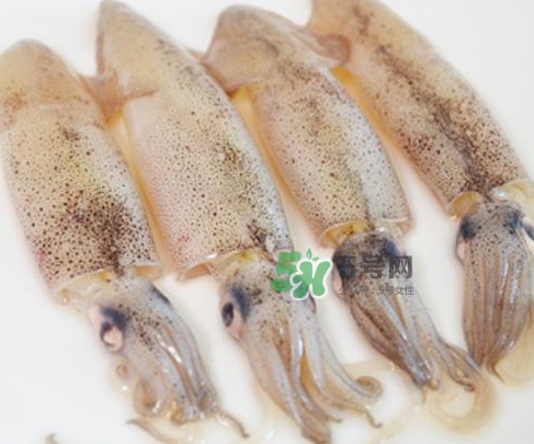 筆管魚(yú)是什么魚(yú)？筆管魚(yú)怎么吃