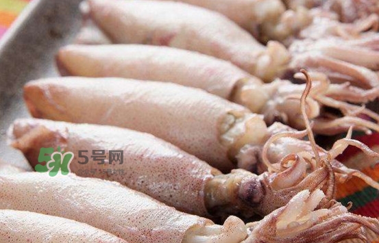 海兔子是小魷魚嗎？海兔子和魷魚的區(qū)別