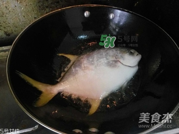 金鯧魚是海魚嗎？金鯧魚的刺多嗎？